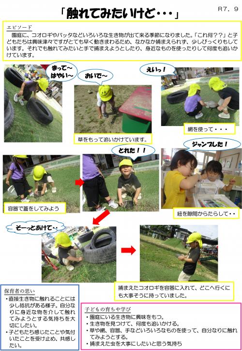 コオロギ