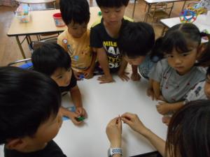 オクラの種ってどんなの？