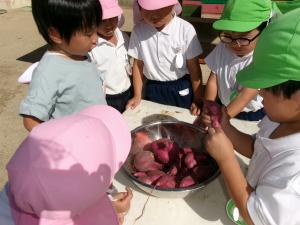 いっぱい出てきたよ