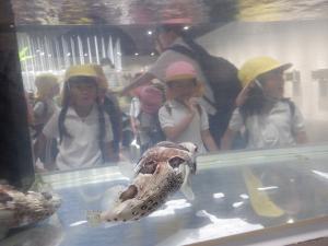 佐保幼　秋の遠足5