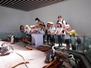佐保幼　秋の遠足10