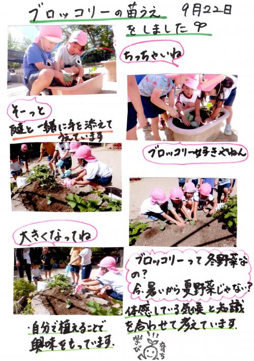 苗