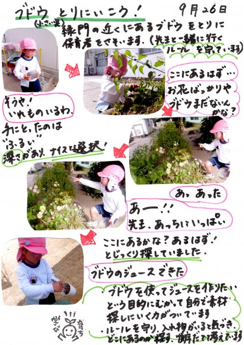 ブドウ