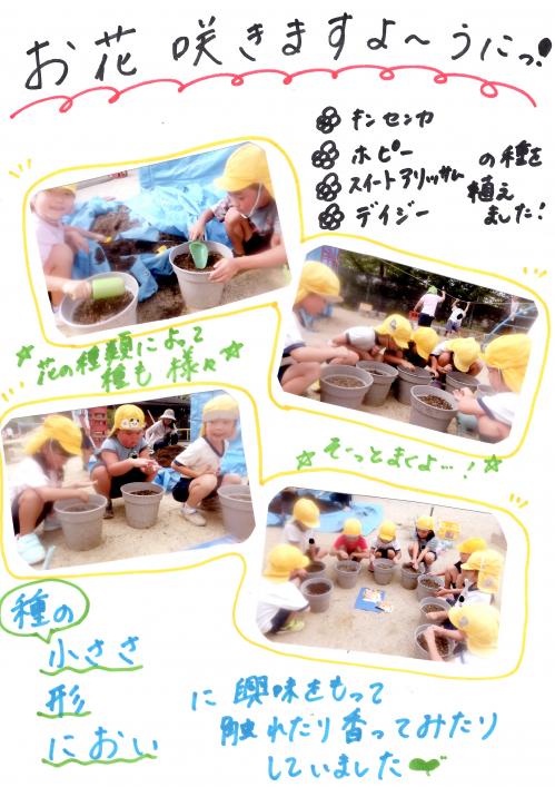 お花