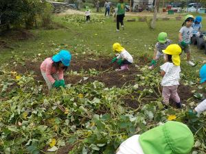 ツルを引っ張る5歳児