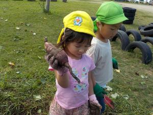 大きな芋を見つけた女の子