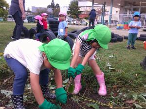 友達と一緒に芋掘りをする4歳児