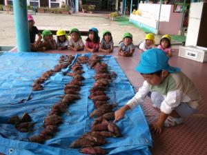 芋を数える5歳児