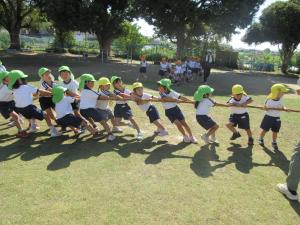 綱引き　そらみかん