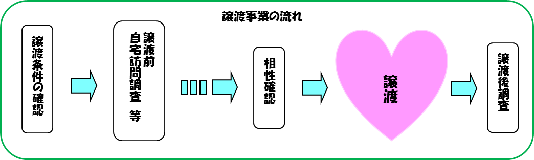 譲渡手続の流れ