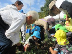 地元の斎藤さんにやり方を教えてもらいながら、掘り始めました。