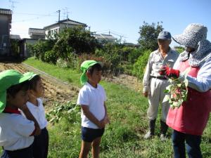 地域の方の畑でいもほりの説明を聞いている子ども