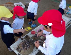 ドングリケーキとドーナツ