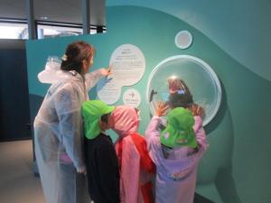 あアシカの模型を見る子ども