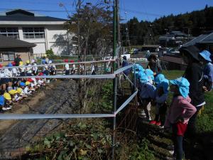 畑の外から応援しています