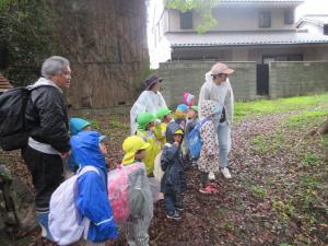 樟の巨木を見ている子どもたちです。