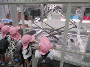 もも　パンダグラフを見ています