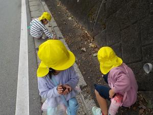 ドングリ拾いをする3歳児