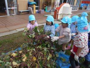 5歳児がつるを運んでいます