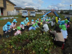 5歳児が応援しています