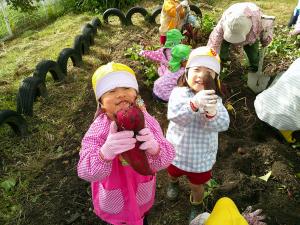 おいもを持っている３歳児