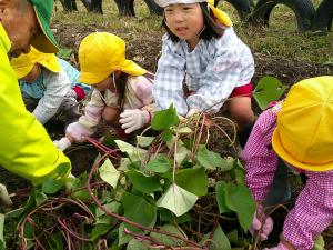 大きなつるをとっています