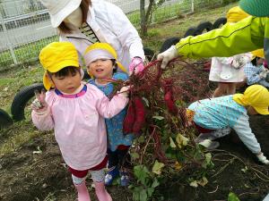 おおきなおいもを持っています