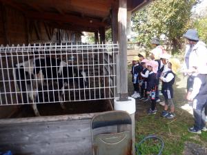 佐保幼　園外保育　植村牧場2