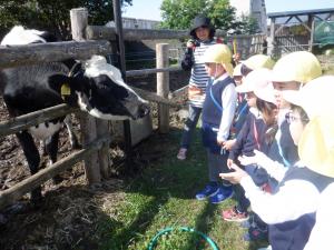 佐保幼　園外保育植村牧場4