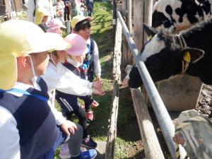 佐保幼　園外保育植村牧場6