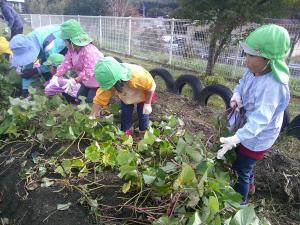 つるを引っ張っています