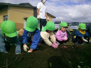 土を掘っています