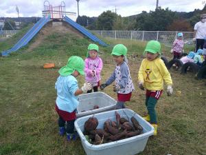 いもをかごに分けて入れています