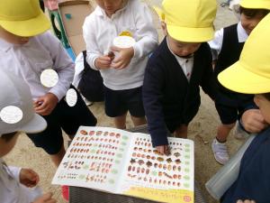 図鑑で見ているよ