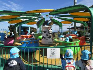 アニマルティーカップ