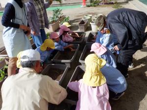 佐保幼　タマネギ植え