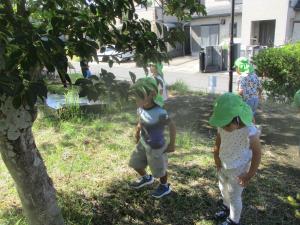 4歳児散歩の様子