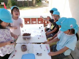 どんぐりを使った製作を楽しんでいるところ