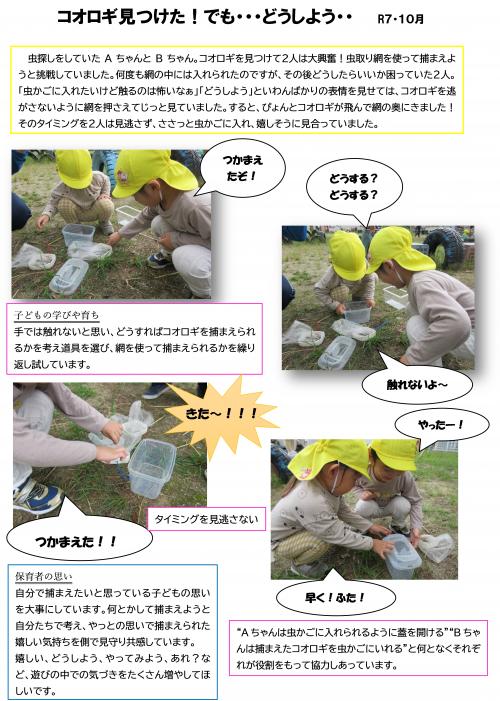 コオロギ見つけた！