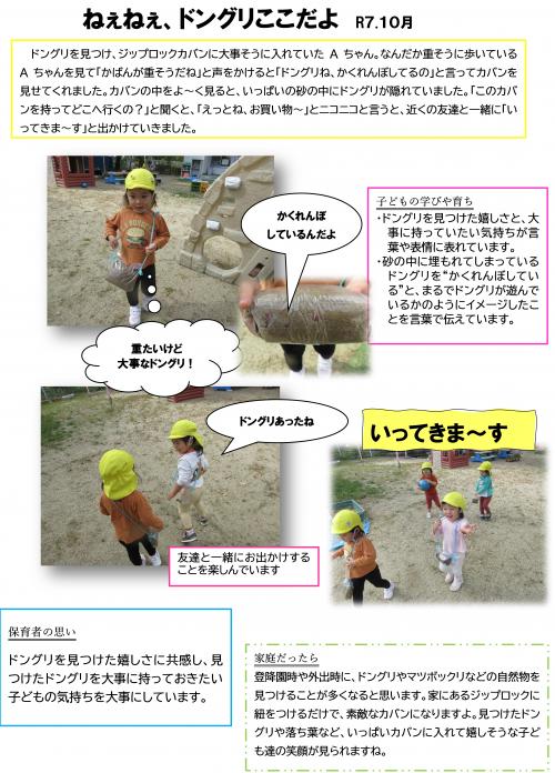 ドングリここだよ