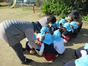 そら組が球根を植えています