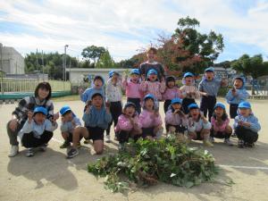 ほし組収穫できたよ