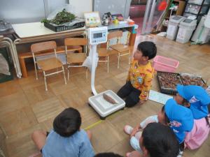 サツマイモの重さをかかったよ