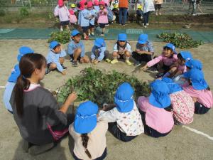 ほし組の話し合い