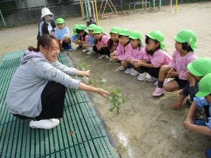 にじ組の話し合い