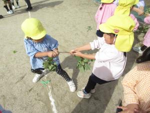 力を込めて引っ張るぞ