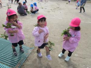 イチゴ組芋づる飾り