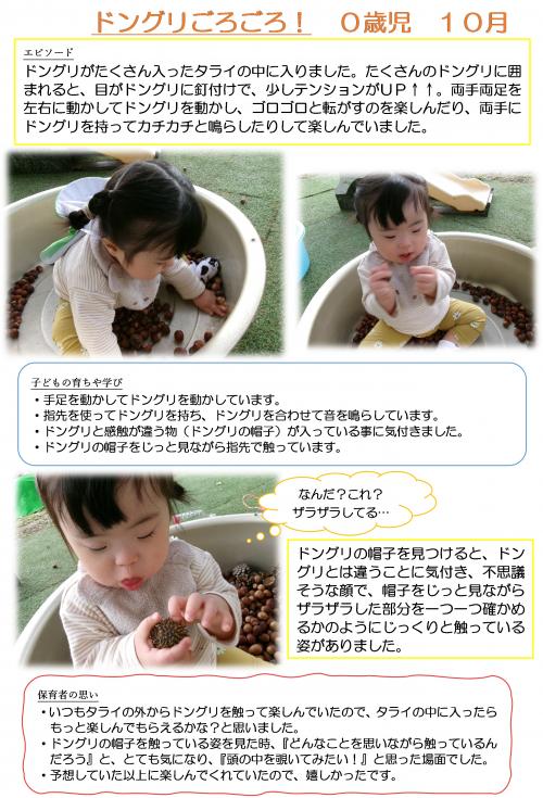 ドングリごろごろ