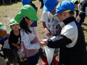 ドングリのプレゼント