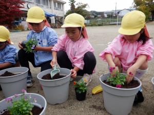 佐保幼　11月花植え2